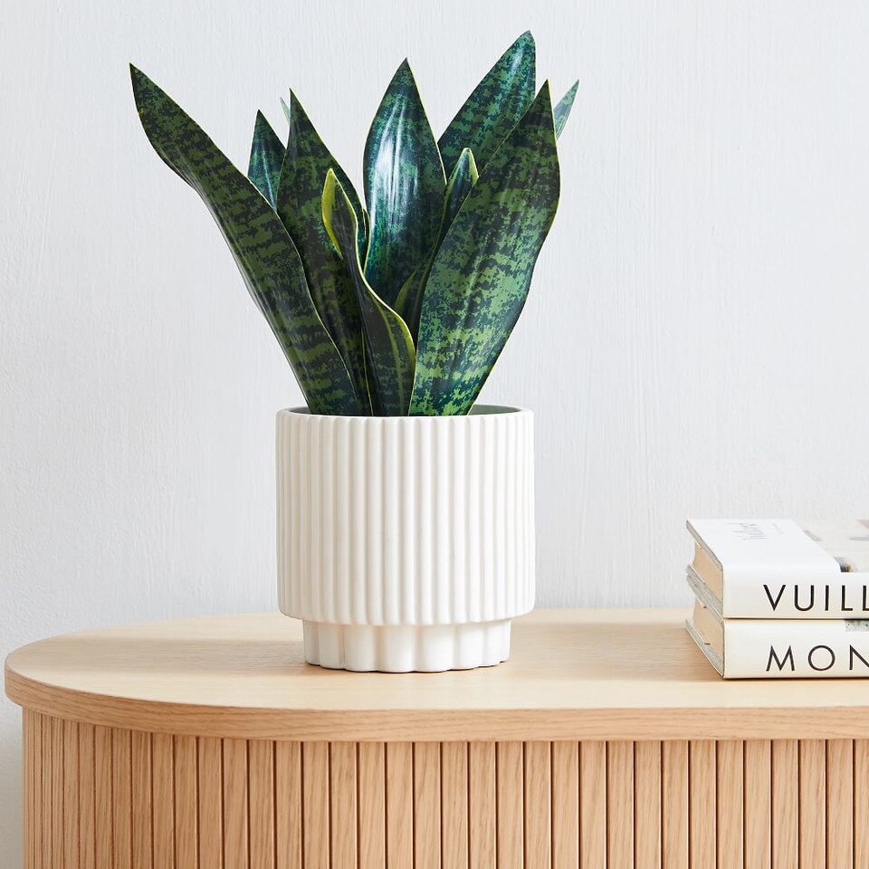 Faux Snake Plant West Elm Australia